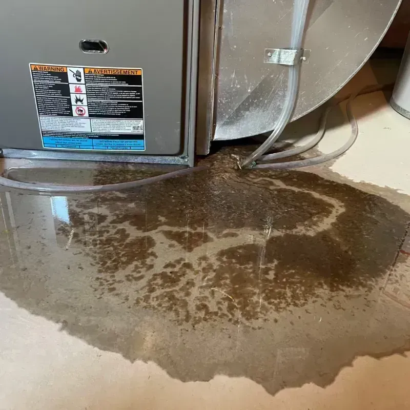 Appliance Leak Cleanup in Bowling Green, KY